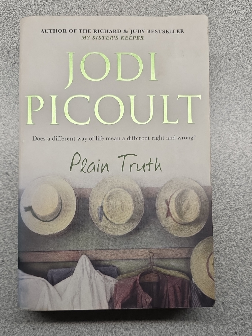 Jodi Picoult "Plain Truth" Paperback